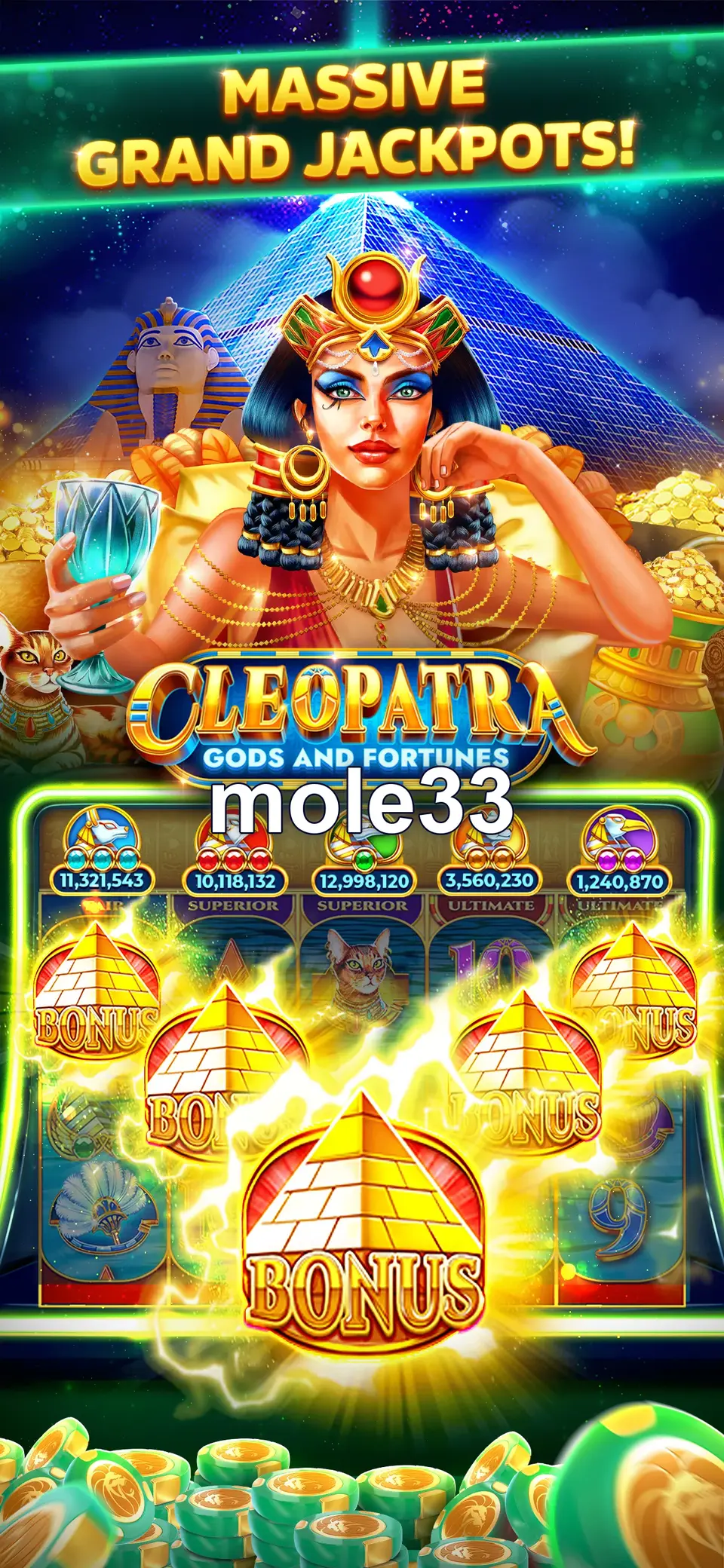 mole33 Masuk